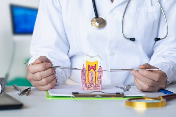 Best Chipped Tooth Repair Near Me  in Forsyth, GA